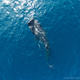 Illustration for article titled Learn to Take Drone Photographs That Are Breathtaking Art
